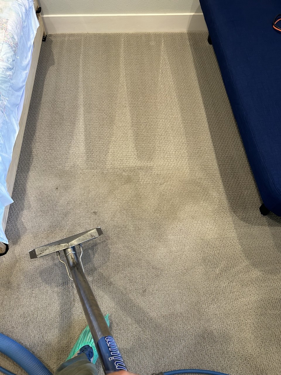Carpet extraction in progress with visible cleaning passes
