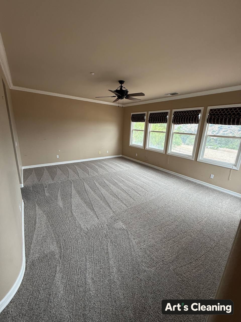 Clean carpet with even vacuum lines