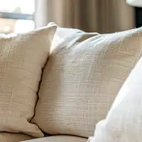 Professional upholstery cleaning service in Irvine