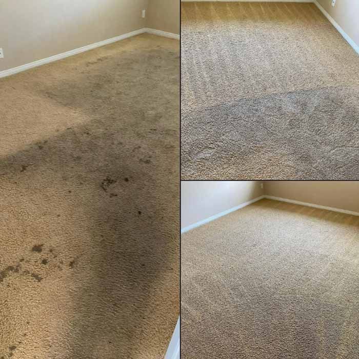 Before and After Pet Stain and Odor Removal