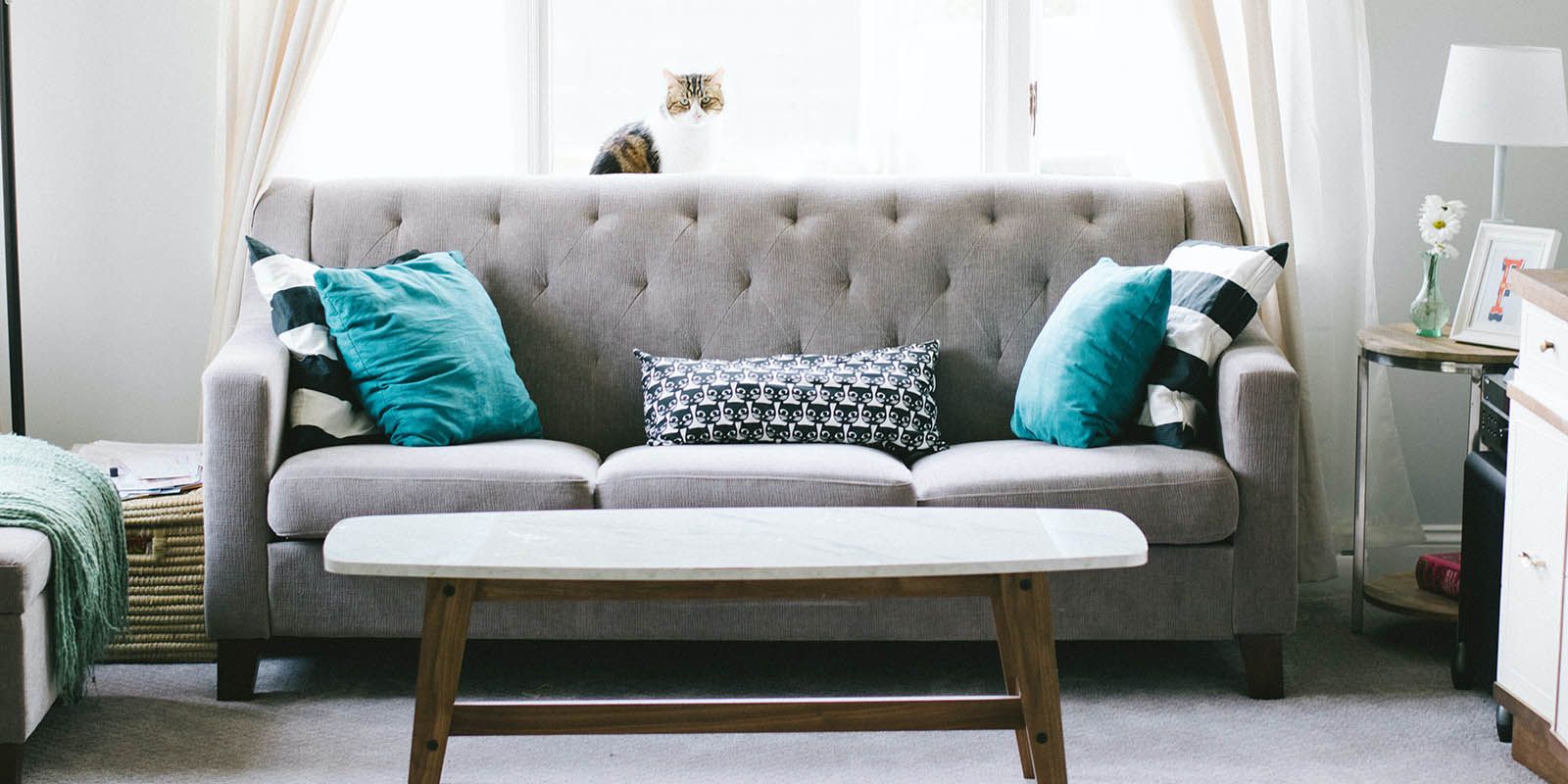 Upholstery Cleaning A Brief Guide