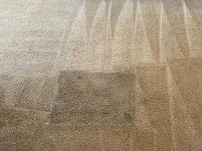 Carpet Cleaning Results