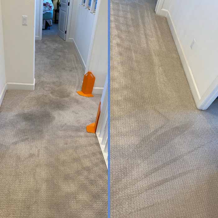 Before and After Carpet Cleaning