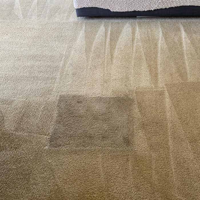 Carpet Cleaning Results